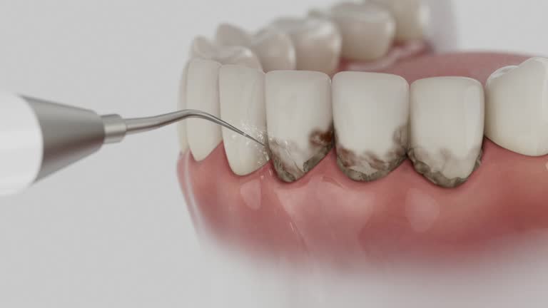 Reliable Dental contractor in Ridgefield Park, NJ by Dentist Open Now